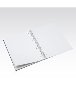 Maxiquaderno spirale A4 Fabriano EcoQua, con fori RIGHE - immagine 4