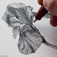 Penna a China Isograph - Rotring - immagine 2